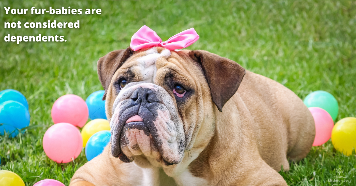 Plan for your pet. Dog with bow and Easter eggs.