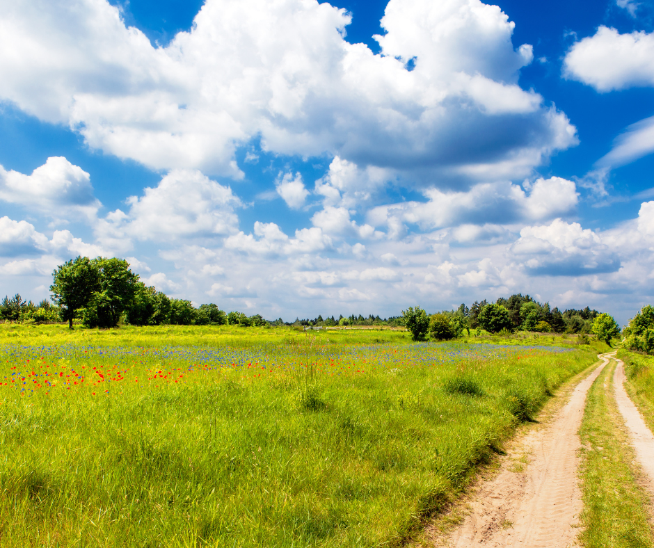 Trust and Restricted Land in Oklahoma